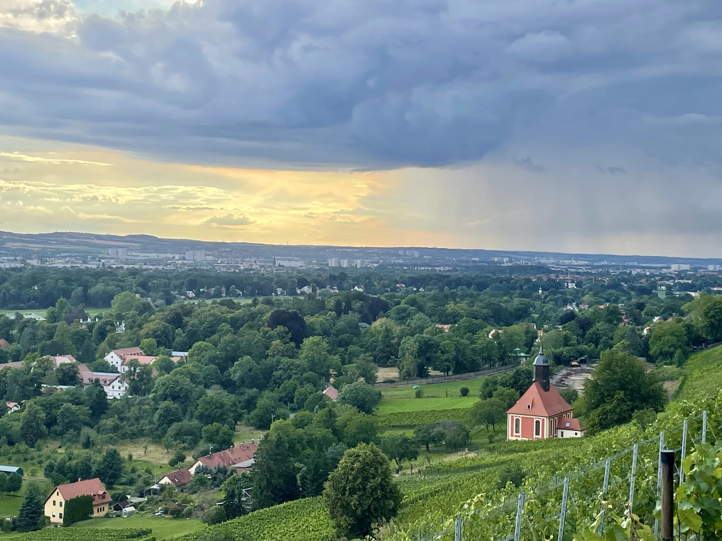Blick vom Weinberg über den Dresdner Elbhang bis zur Stadt